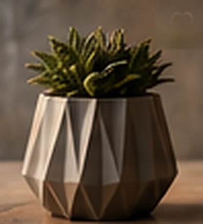 Pot facetté gris avec une plante grasse